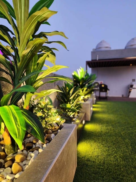 تنسيق حدائق الأحساء