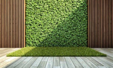 تنسيق حدائق الأحساء 