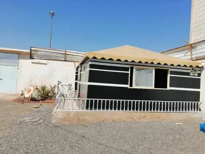 خيام ملكية وبيوت شعر في الأحساء